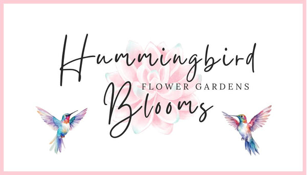 Hummingbird Blooms 